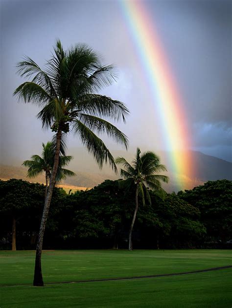 West Maui Rainbow Photograph By William Koenig Fine Art America