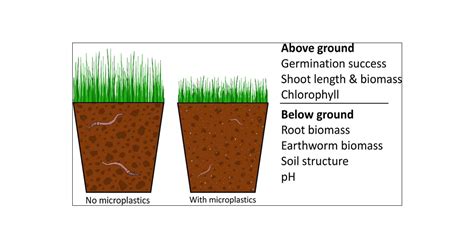 Effects Of Microplastics In Soil Ecosystems Above And Below Ground