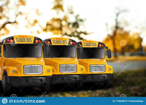 Yellow School Buses Outdoors Transport For Students Stock Image