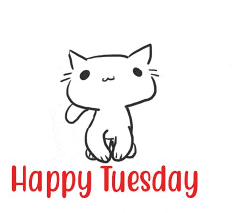 Happy Tuesday Cat 