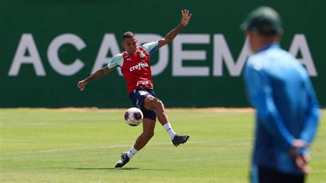 palmeiras tem manhã de atividades táticas e segue preparação para final palmeiras