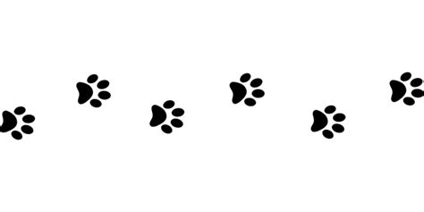 Line Of Paw Prints Transparent Png Stickpng