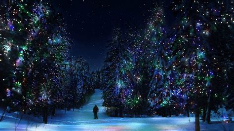 Forest Christmas Tree Winter New Year Decoration Light Hd Wallpaper