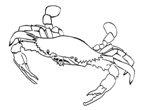 One fun way to use these is to print 2 per page on card stock and use them a stick puppets to help tell the story. Hermit Crab Coloring Page - Coloring Home