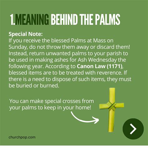 5 Facts About Palm Sunday Every Catholic Should Know