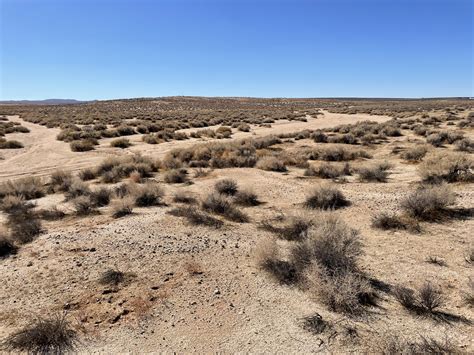 Desert Tortoise/Mohave Ground Squirrel Mitigation – Conservation Land Group
