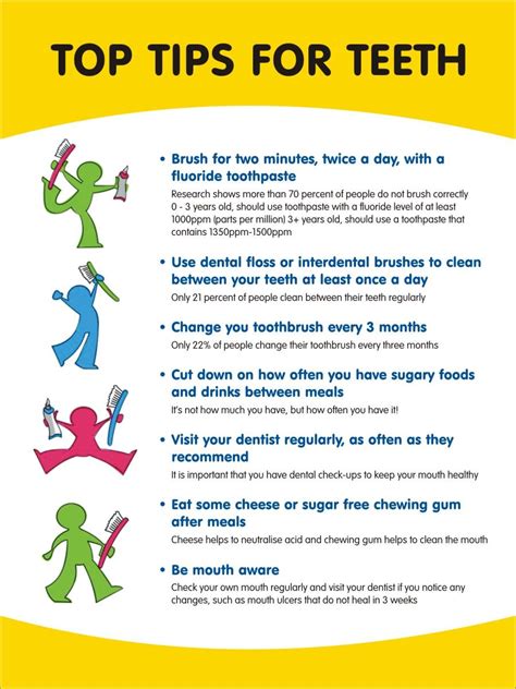 Healthy Teeth Teeth Health Dental Facts Dental Cosmetics