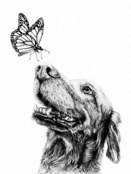 Dog And Butterfly Animal Tattoo Drawings Art