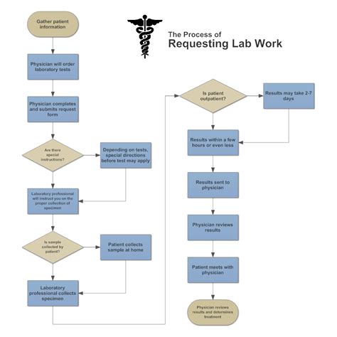 Example Image Requesting Lab Work Medical Process Flowchart Flow