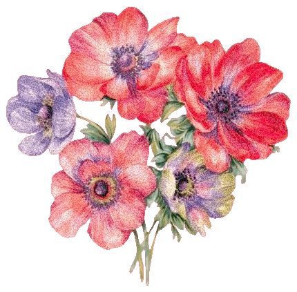Gif bilder „nachträglich zum geburtstag. Gifs de flores ~ Oficina do Gif