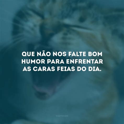 40 Frases De Bom Humor Que Vão Alegrar Todos Os Seus Dias