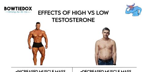 how to naturally boost your testosterone levels