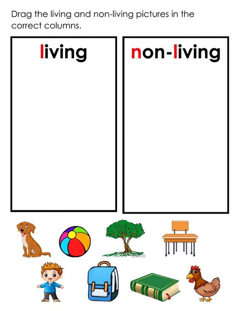 Living And Non Living Things Exercise For First Grade Artofit