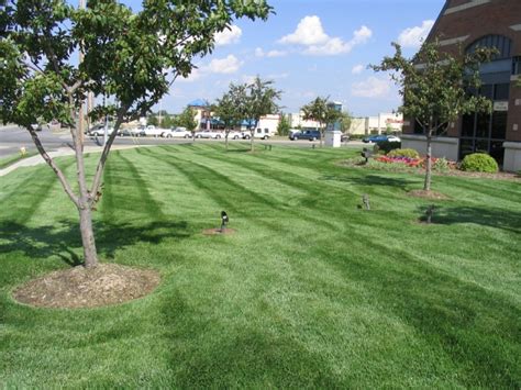 Lawn aeration, dethatching, overseeding, slit seeding, fertilizer, top dressing. Lawrence, KS Lawn Maintenance, Mowing, Fertilizer, Weed ...