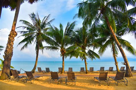 Strand Paradise Beach Resort Samui Maenam Holidaycheck Koh