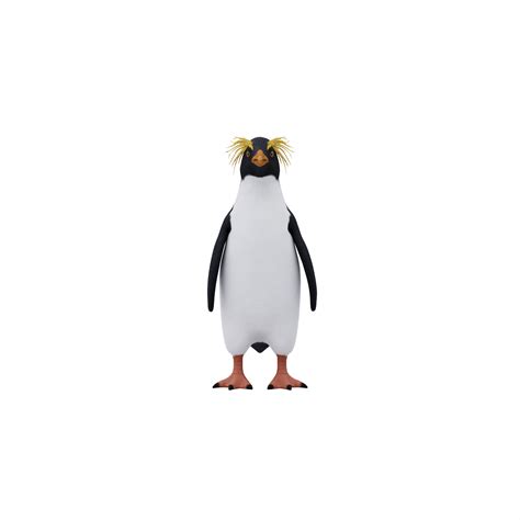 Free Erect Crested Penguin Isolated Png With Transparent Background
