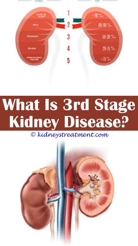 Kidney Disease Awareness Month Kidney Infection Kidney Disease