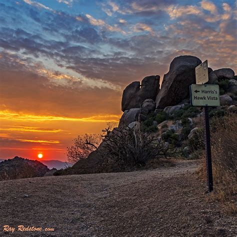 Desert Sunrise On Hiking Trail In Scottsdale Arizona Arizona Sunrise
