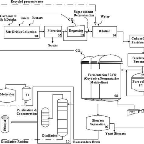 Carbonated Soft Drinks Manufacturing Flowchart Download Scientific