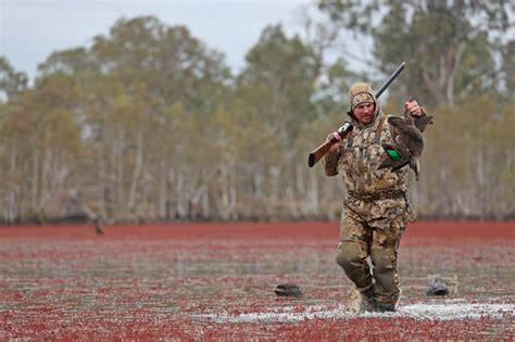 Duck Hunting Australia Ramsey Russells