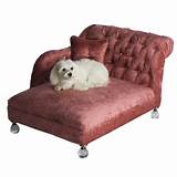 Royal Beds For Dogs Photos