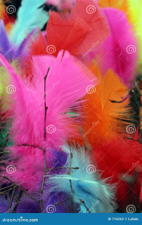 Easter Feather Tree 1 Stock Image Image Of Soft Colorful 716263
