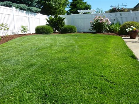 The 4 Best Grass Types For Lawns In Chicago Il Lawnstarter