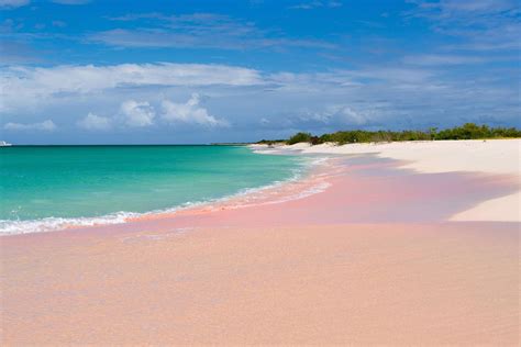 Pink Sand Beach Barbuda Mnrag6 BeeIMG