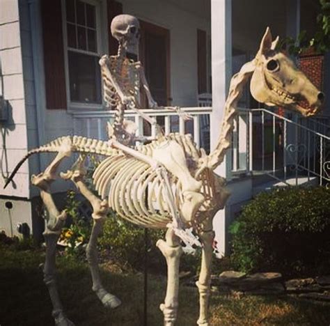 How To Make A Halloween Skeleton Horse Anns Blog