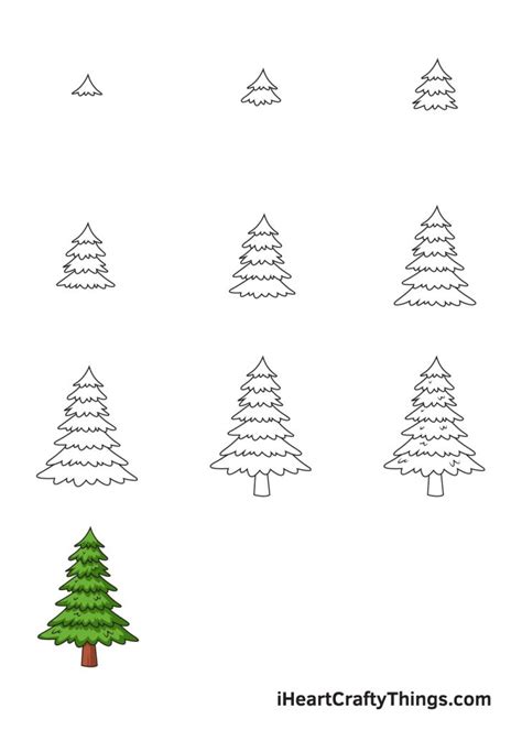 How To Draw A Pine Tree Beginners Lenoir Menteds47