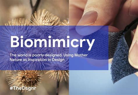 Copying Nature In Design Biomimicry Examples Mother Nature Design