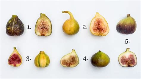 Five Figs Friday Varieties To Try This Fall The Horticult Fig