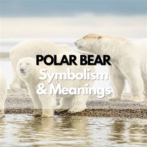 Polar Bear Symbolism Meanings And History Symbol Genie