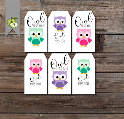 Owl Miss You Friend Owl Gift Tag Leaving Tag Last Day Of Etsy Owl Miss You Teacher Gift