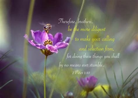 2 Peter 1:10 Therefore, brothers, be the more diligent to ...