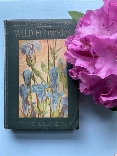 Lovely Vintage Book Wild Flowers Neltje Blanchan Hardcover Etsy