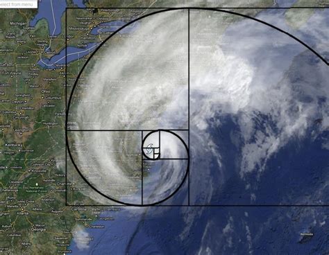 Examples Of The Golden Ratio You Can Find In Nature Memolition
