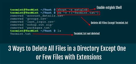 3 Ways To Delete All Files In A Directory Except One Or Few Files With