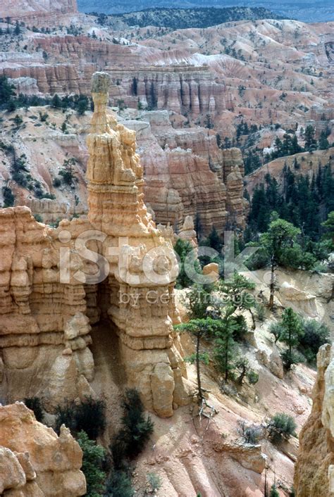 Bryce Canyon Stock Photo Royalty Free Freeimages