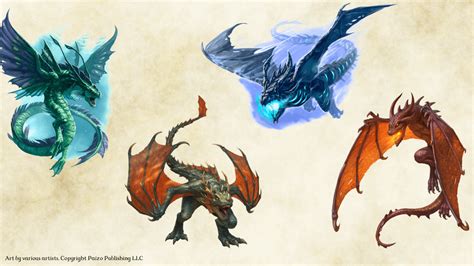 You drank a few drops of dragon blood, forever infusing your nature magic with draconic power. DnD 5e Homebrew — Drakes by Lynesth