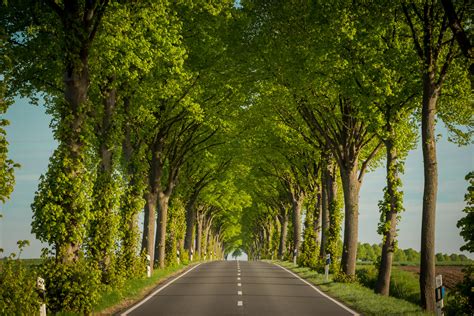 1025 saint james church road p.o. Sarstedt Foto & Bild | deutschland, europe, niedersachsen ...