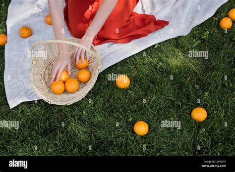 Beschnittene Ansicht Der Frau Im Rock Die Orangen Aus Dem Korb Auf Der Decke Im Park Nimmt
