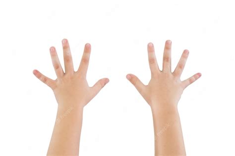 As Mãos Das Crianças Mostram Dez Dedos Isolados No Fundo Branco As Mãos Das Crianças Estão