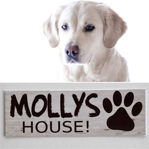 Custom Your Dog Name House Kennel Sign The Renmy Store