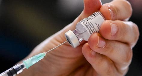 Millones de dosis de la vacuna deben ser. Coronavirus | México sancionará a una familia que usó ...