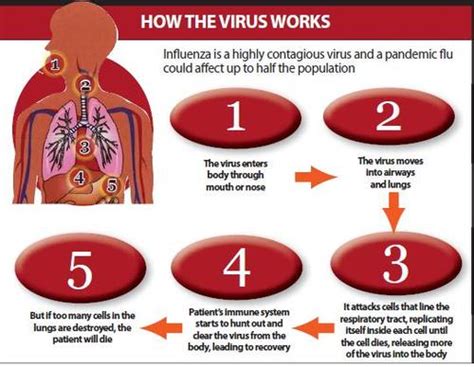 The symptoms are similar for children, but they can also get pain in their ear and appear less active. Spanish Flu Pandemic - SWINE FLU (Influenza A H1N1 ...