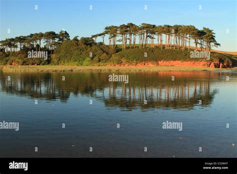 Budleigh Salterton Mouth Of River Otter Devon England Uk Stock Photo Alamy