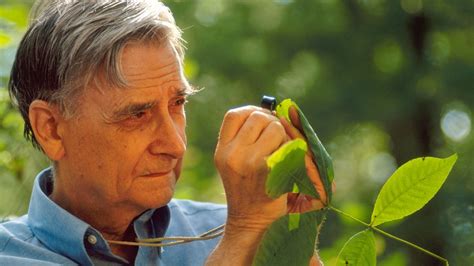 Eo Wilson ‘darwins Natural Heir Dies At Age 92