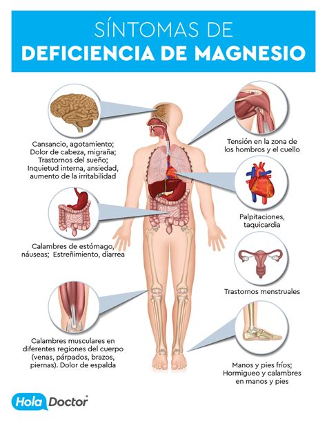 Cuáles son los síntomas de la falta de magnesio