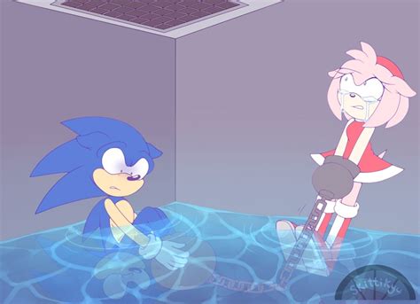 Sonamy Fan Art Sonic And Amy Cartoon Crossover